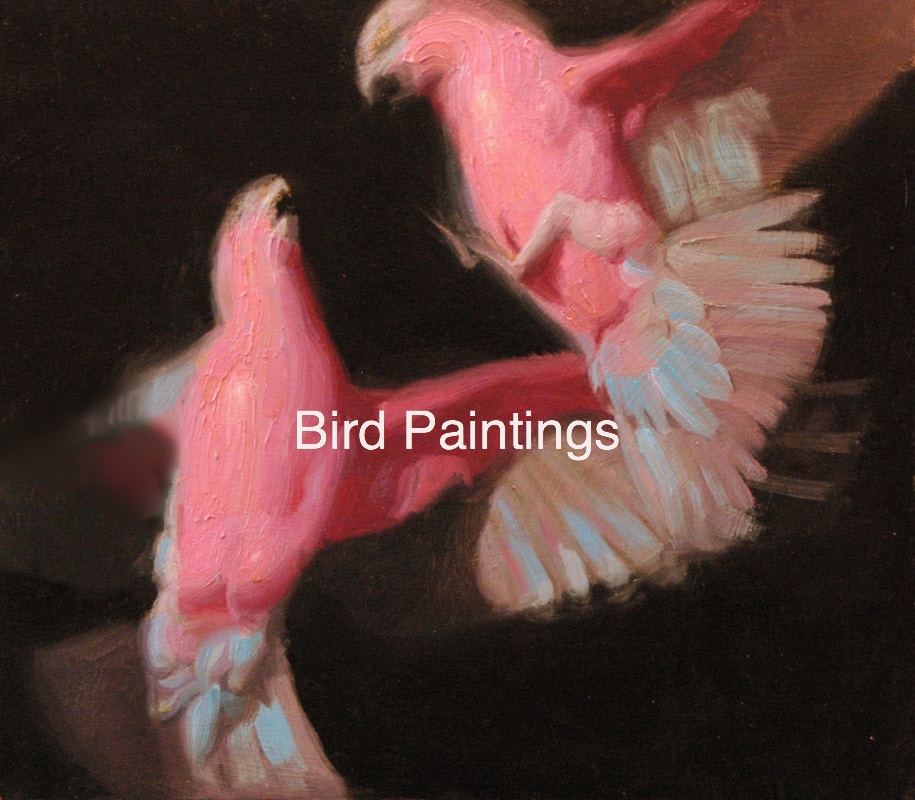 Bird Paintings Ben Smith